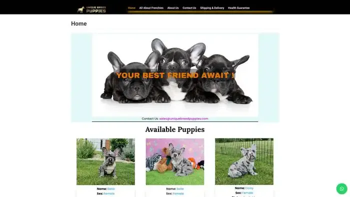 Screenshot of