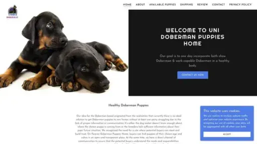 Screenshot of