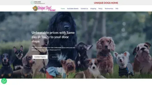 Screenshot of