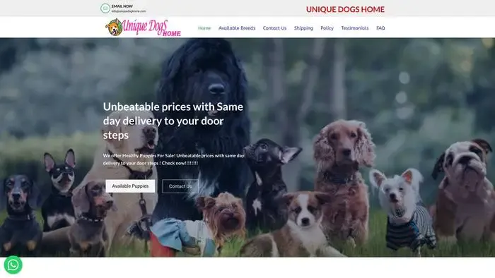 Screenshot of
