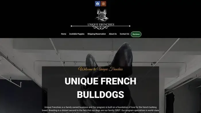 Screenshot of