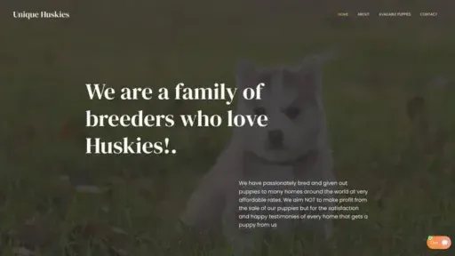 Screenshot of