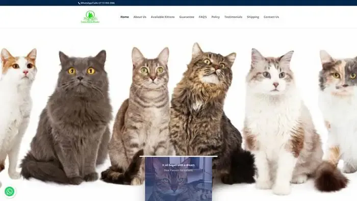 Screenshot of