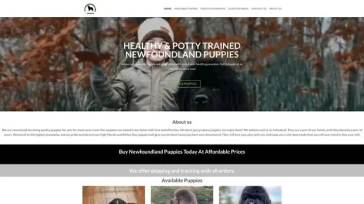 Screenshot of