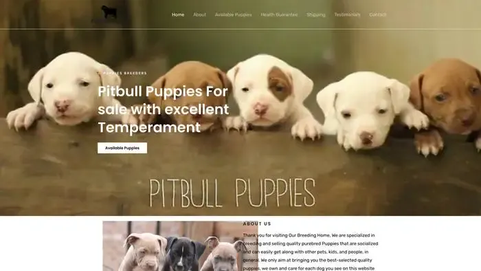 Screenshot of