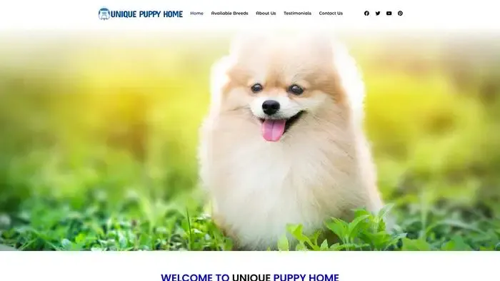 Screenshot of