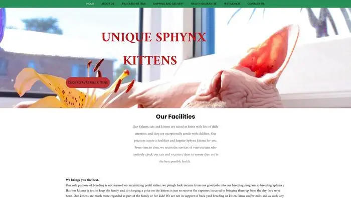 Screenshot of