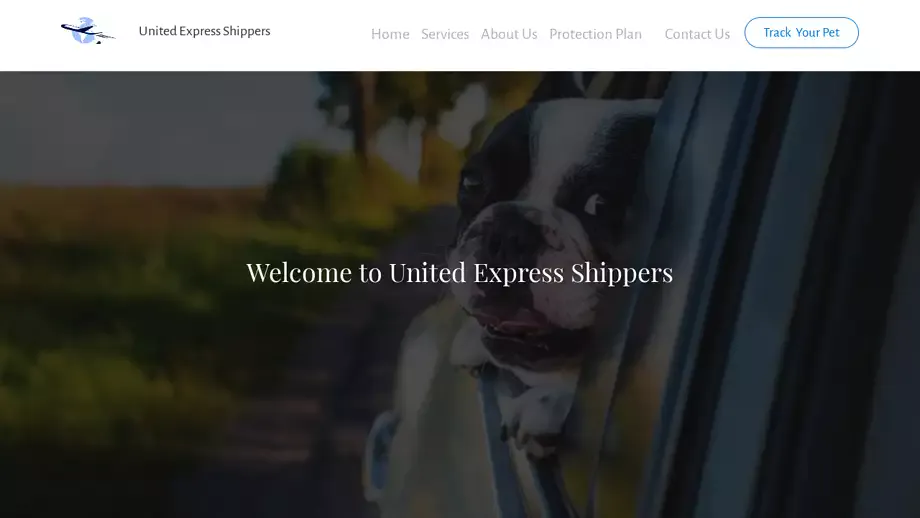 Screenshot of|