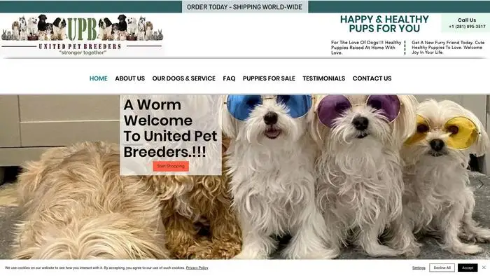 Screenshot of