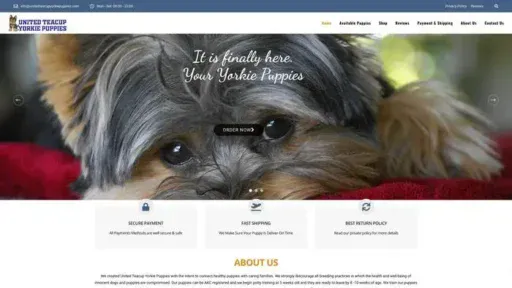 Screenshot of