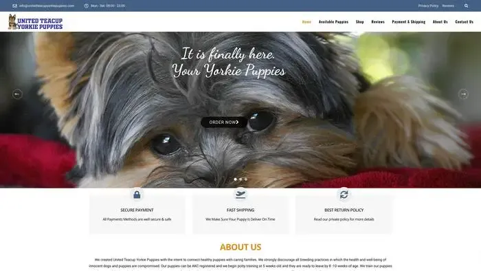 Screenshot of