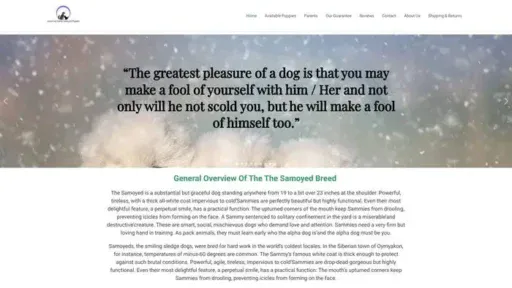 Screenshot of