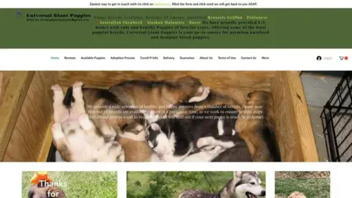 Screenshot of