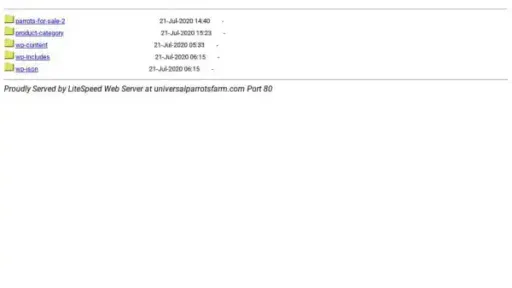 Screenshot of