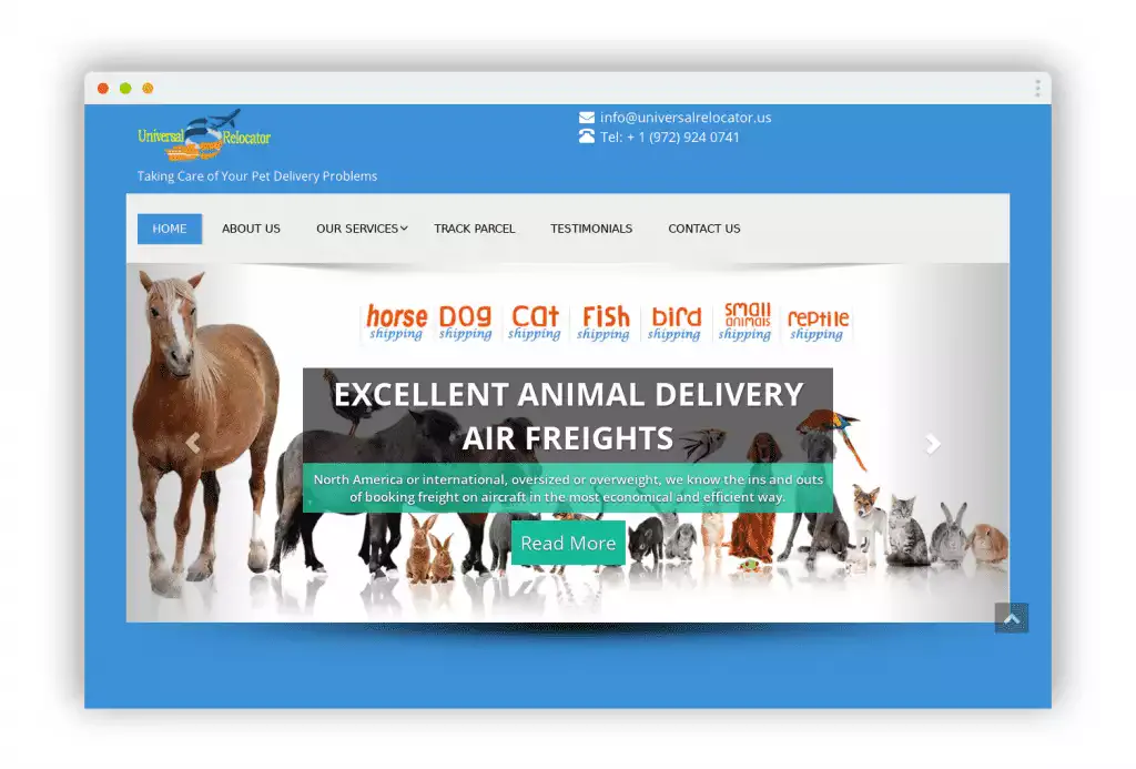 Screenshot of|