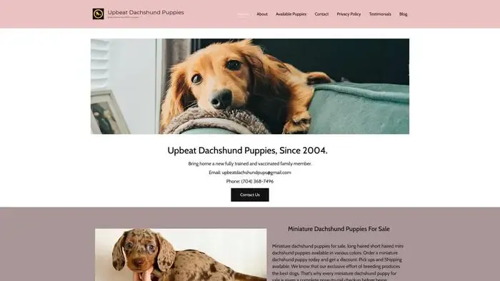 Screenshot of