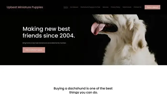 Screenshot of