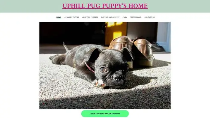 Screenshot of