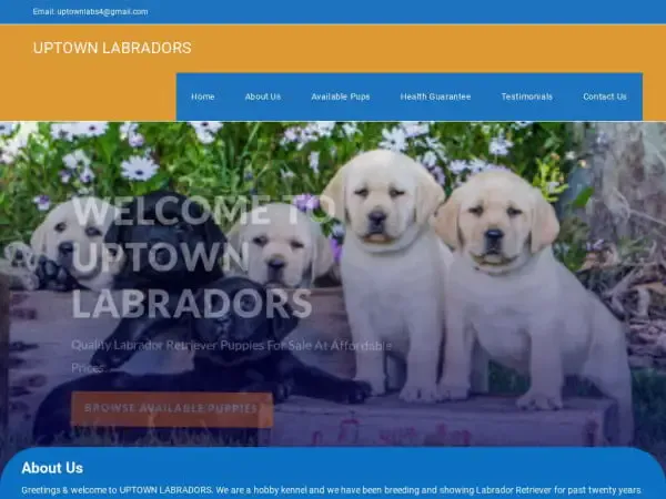 Screenshot of