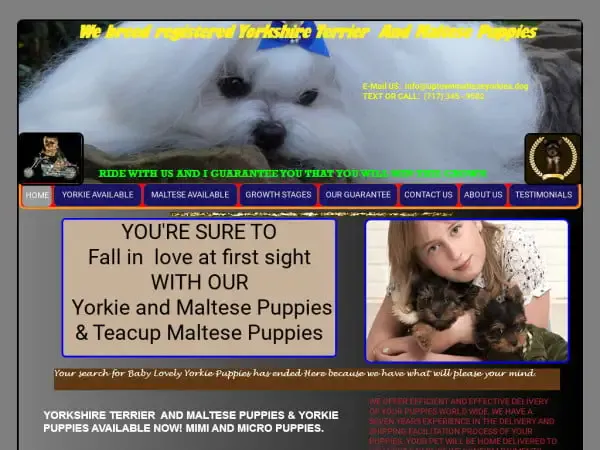 Screenshot of