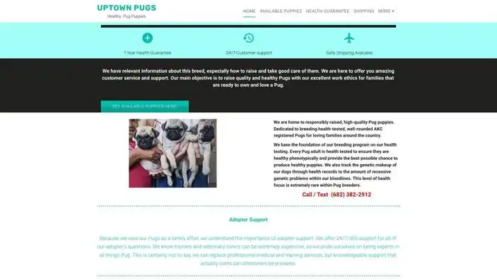 Screenshot of