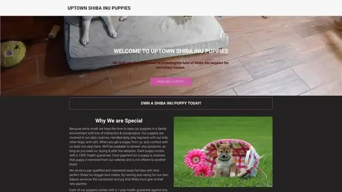 Screenshot of