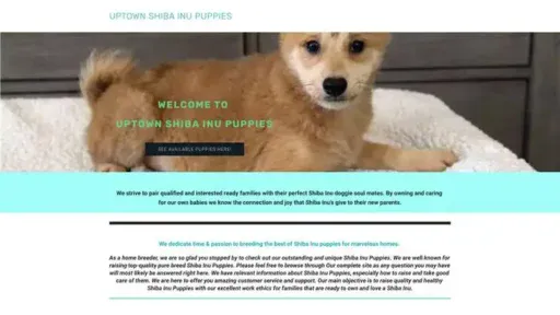 Screenshot of