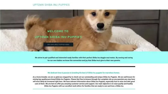 Screenshot of