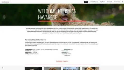 Screenshot of