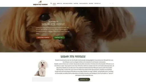 Screenshot of