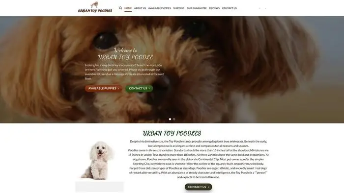 Screenshot of
