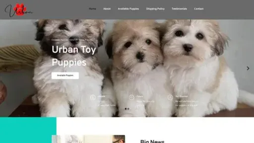 Screenshot of