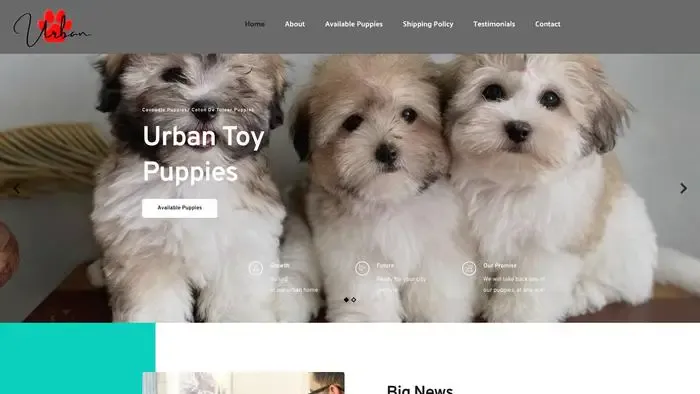 Screenshot of