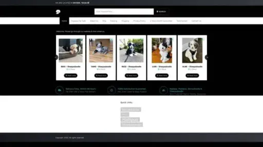 Screenshot of