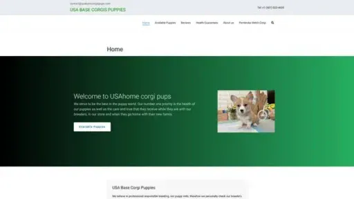 Screenshot of