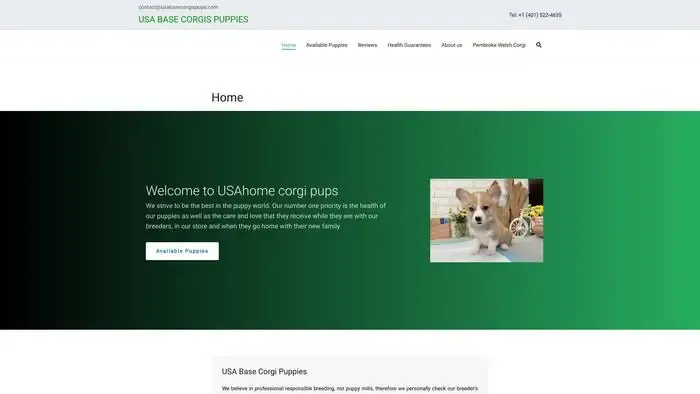 Screenshot of