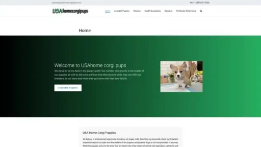 Screenshot of