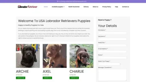 Screenshot of