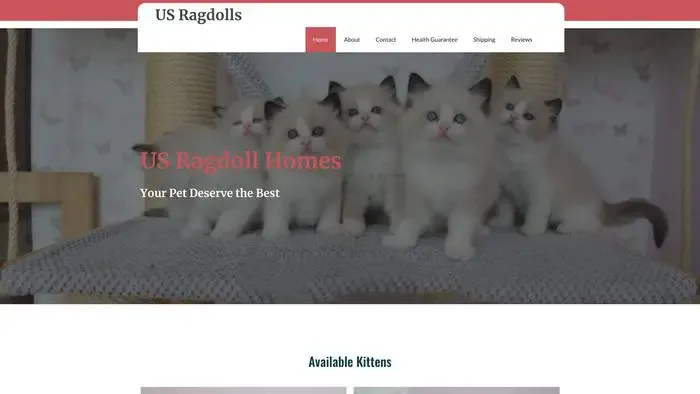 Screenshot of