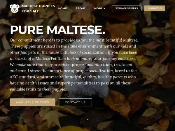 Screenshot of