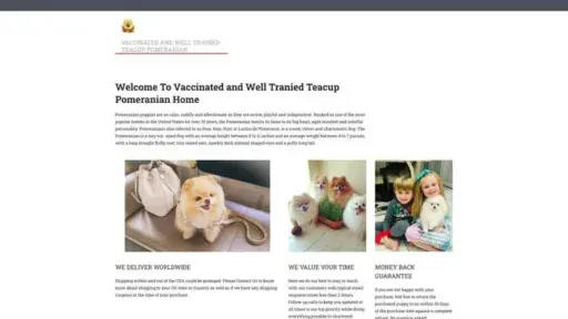 Screenshot of