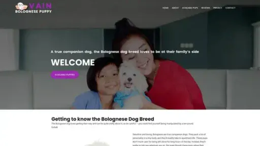 Screenshot of