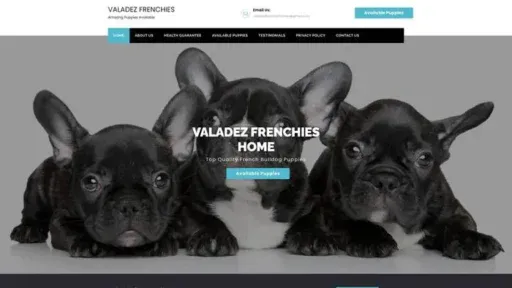 Screenshot of