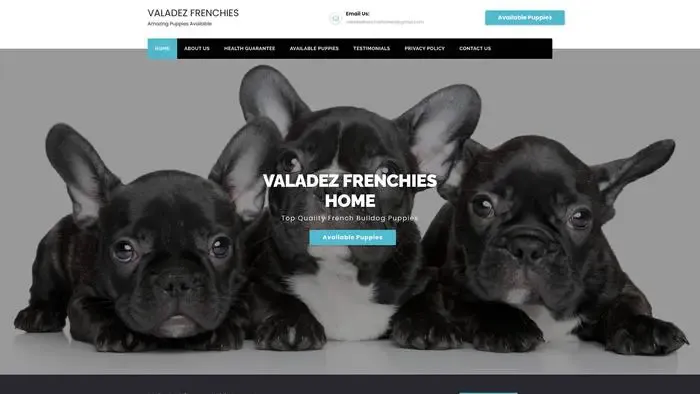 Screenshot of