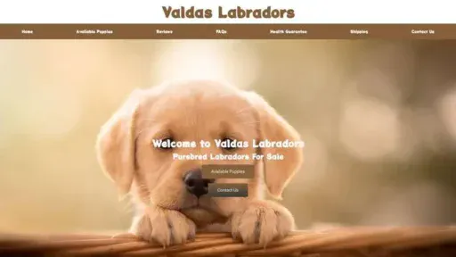 Screenshot of