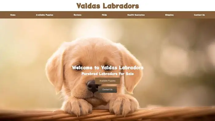 Screenshot of