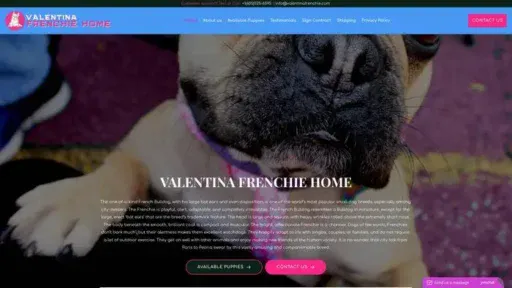 Screenshot of
