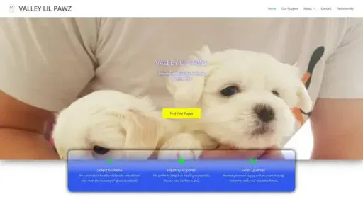 Screenshot of