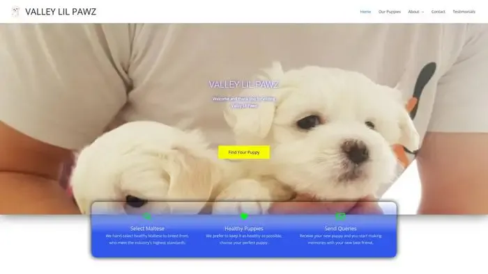 Screenshot of
