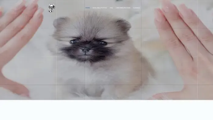 Screenshot of